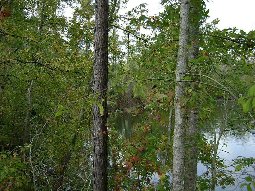47 Deer Ridge Cleveland, TX 77327 - Photo 4 of 6 a view of forest