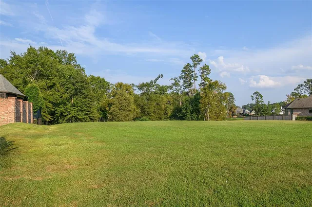 a view of a field of grass and trees