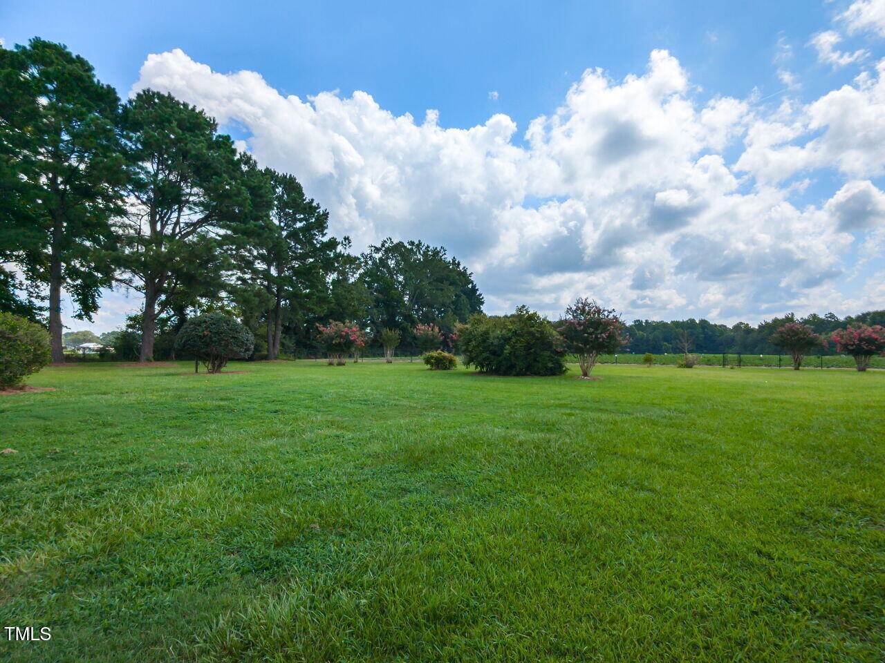 10336 Old Beulah Road Kenly, NC 27542 - Photo 38 of 71 a view of field with trees in the background