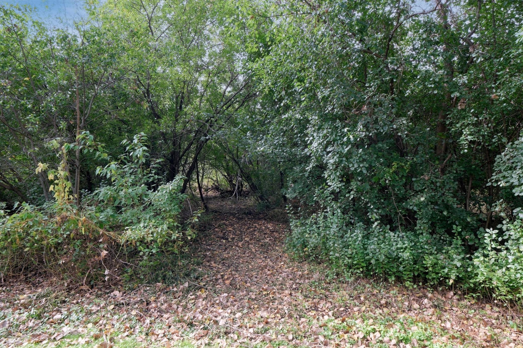 148 Ridgeview Lane Wayzata, MN 55391 - Photo 4 of 19