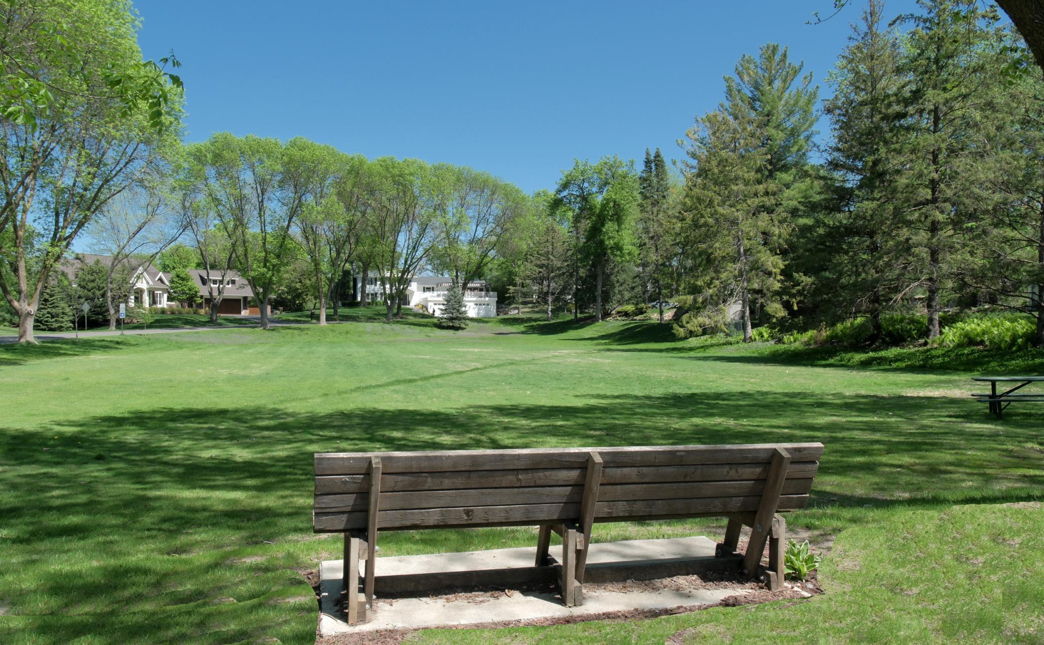 148 Ridgeview Lane Wayzata, MN 55391 - Photo 6 of 19
