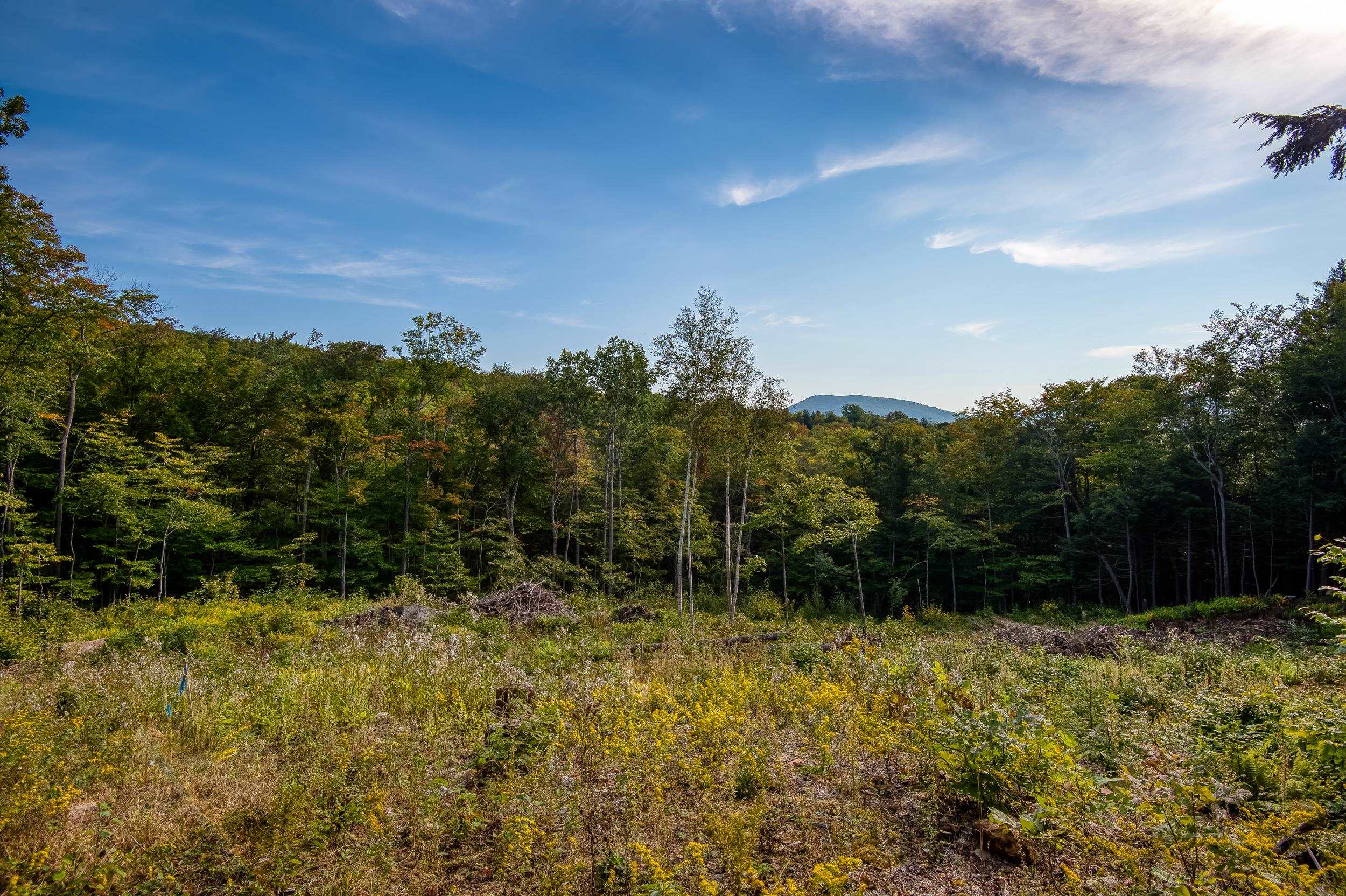 0 West Ledge Road Glen, NH 03838 - Photo 6 of 13 Gallery Image 6