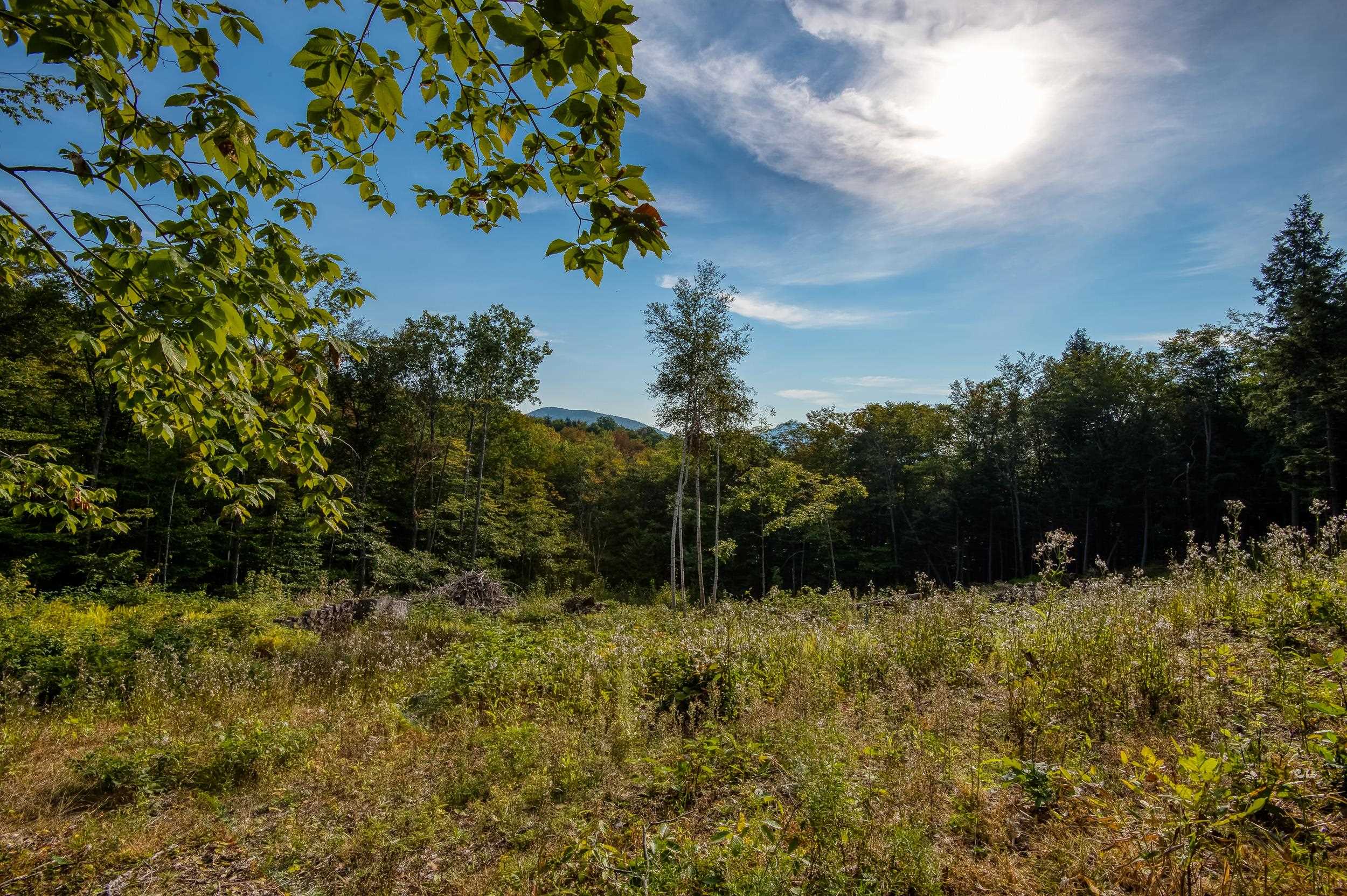 0 West Ledge Road Glen, NH 03838 - Photo 7 of 13 Gallery Image 7