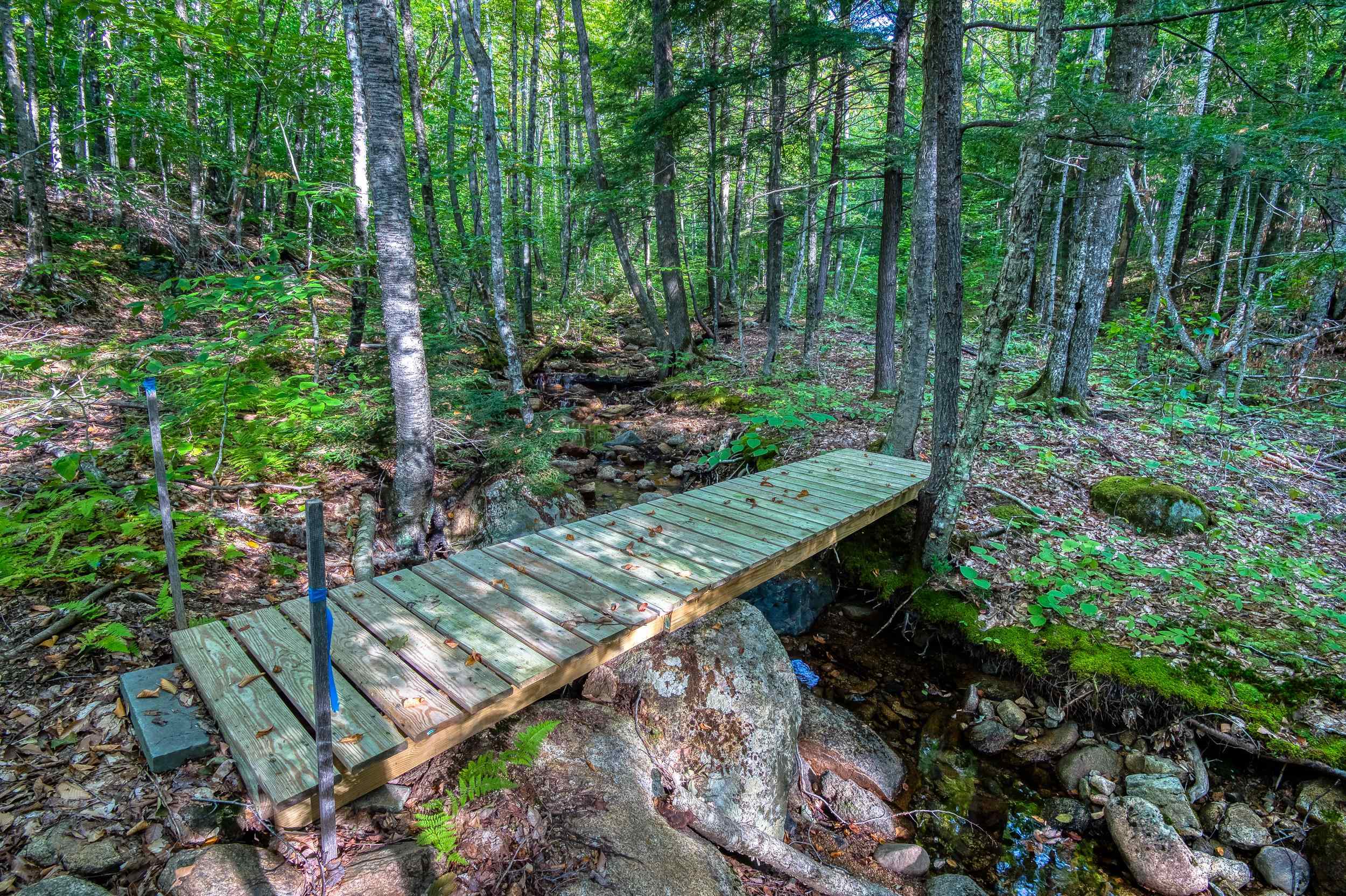 0 West Ledge Road Glen, NH 03838 - Photo 8 of 13 Gallery Image 8