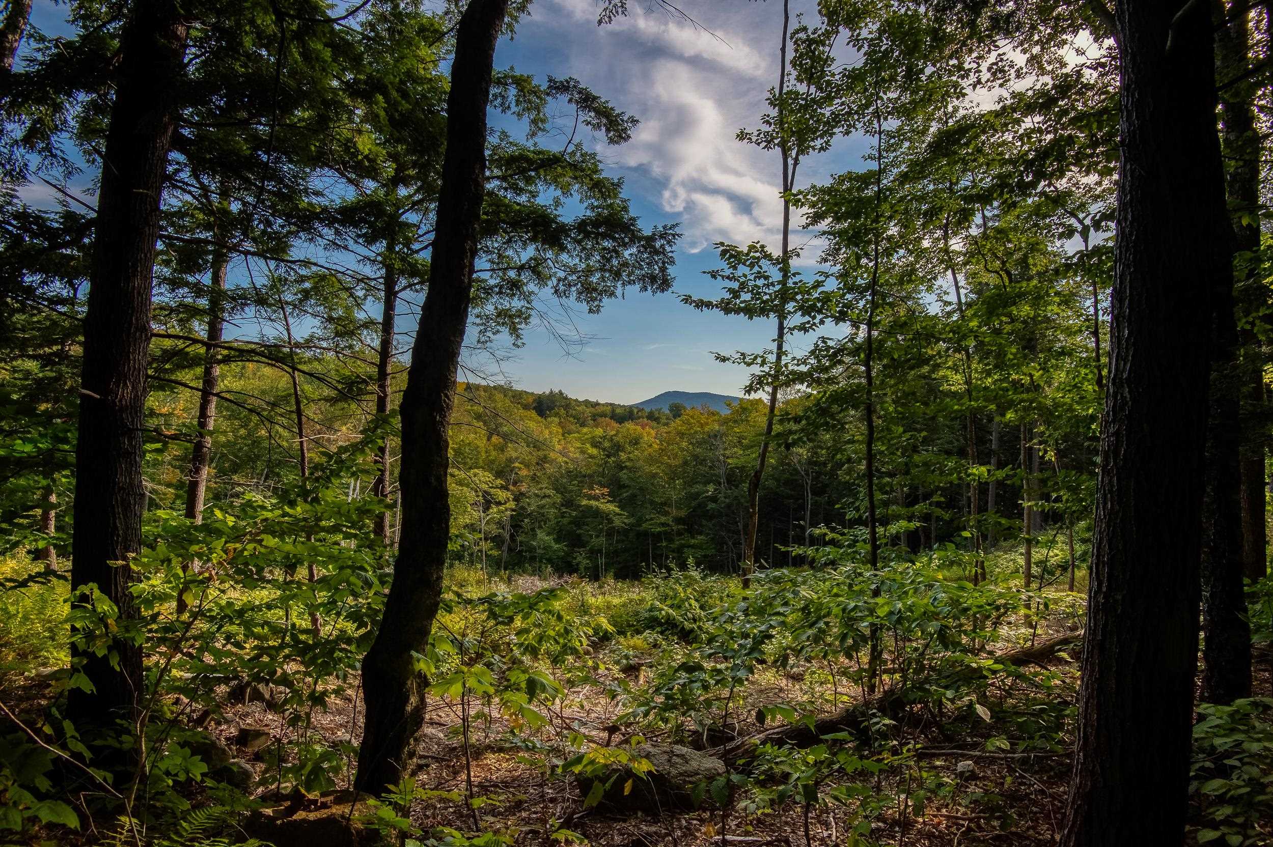 0 West Ledge Road Glen, NH 03838 - Photo 9 of 13 Gallery Image 9