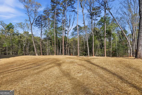 a view of outdoor space and yard