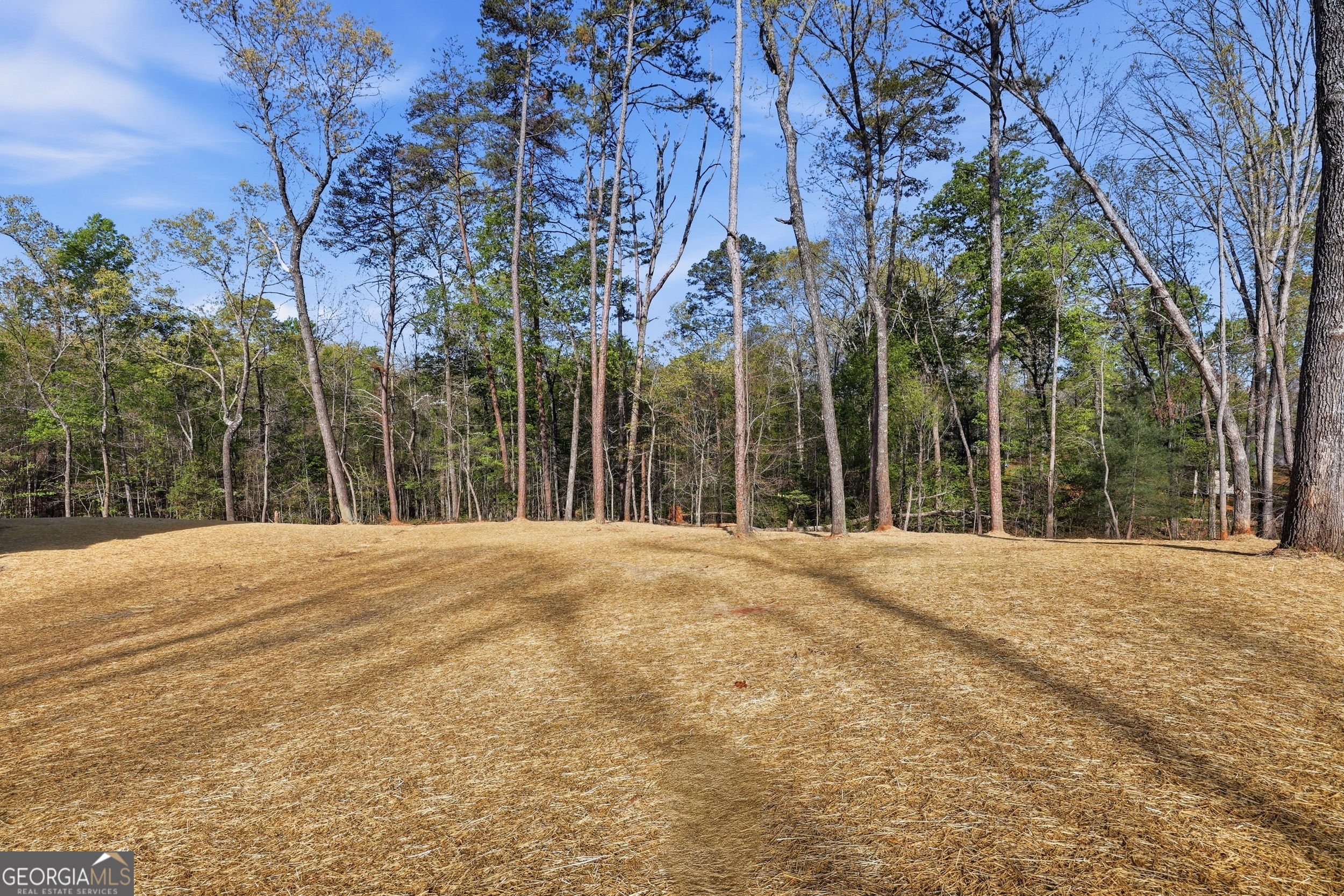 204 Edwards Road Cornelia, GA 30531 - Photo 4 of 8