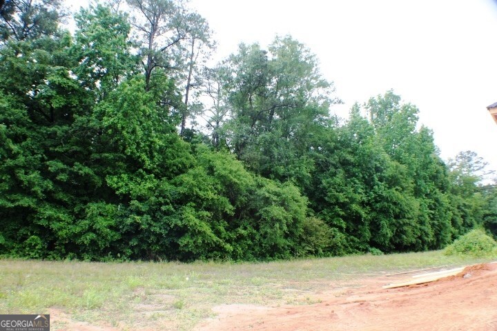 1224 Snow Hill Road Cadwell, GA 31009 - Photo 5 of 11