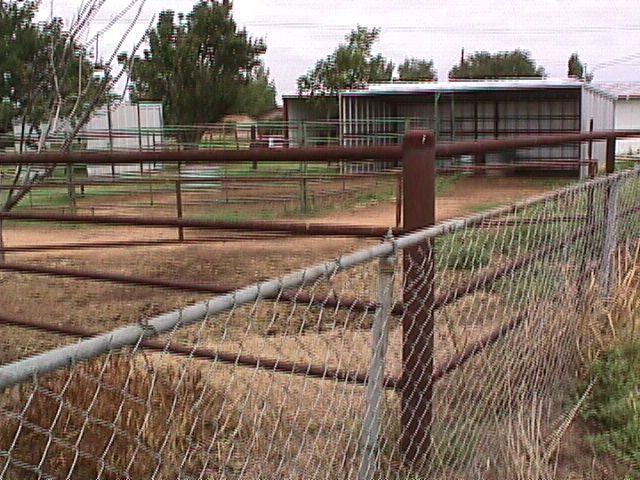 109 Rimrock Trail Amarillo, TX 79108 - Photo 8 of 11 Corral and stalls
