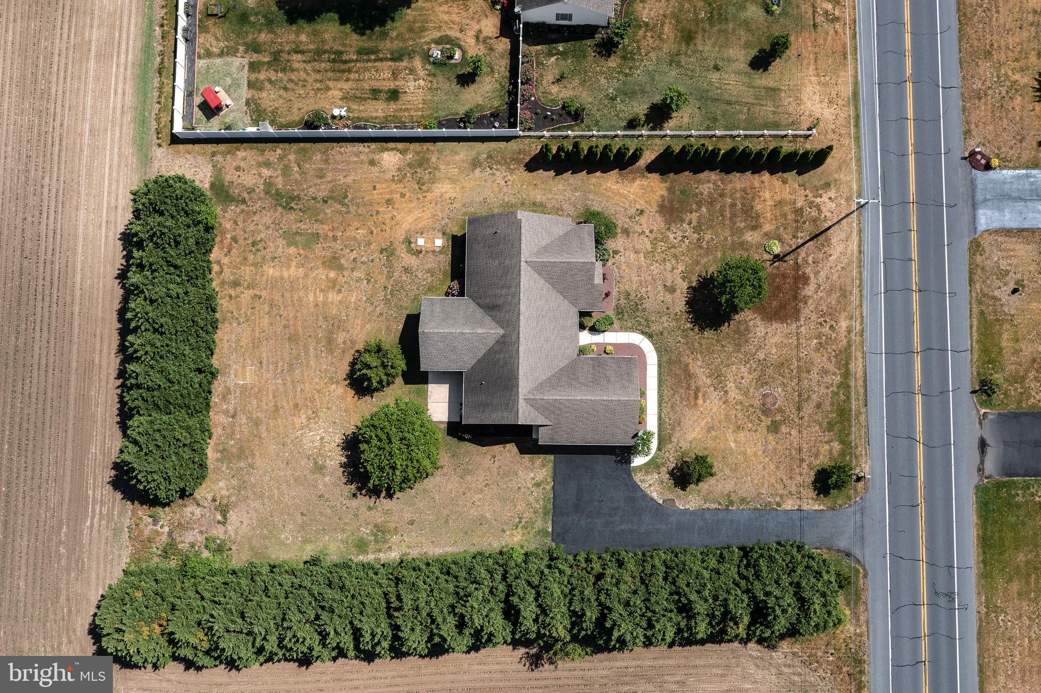 Surrounded by privacy trees