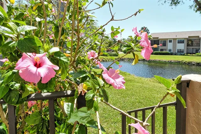 a view of a lake with houses