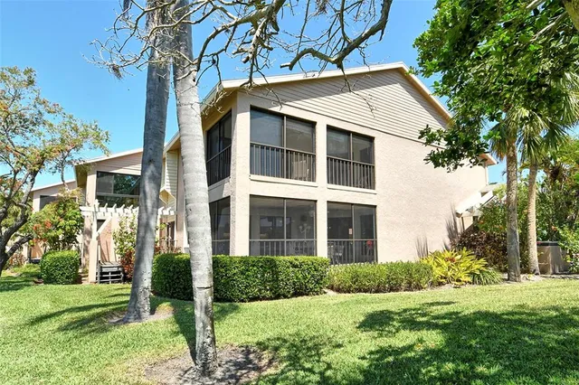 a view of a garden with plants and large trees