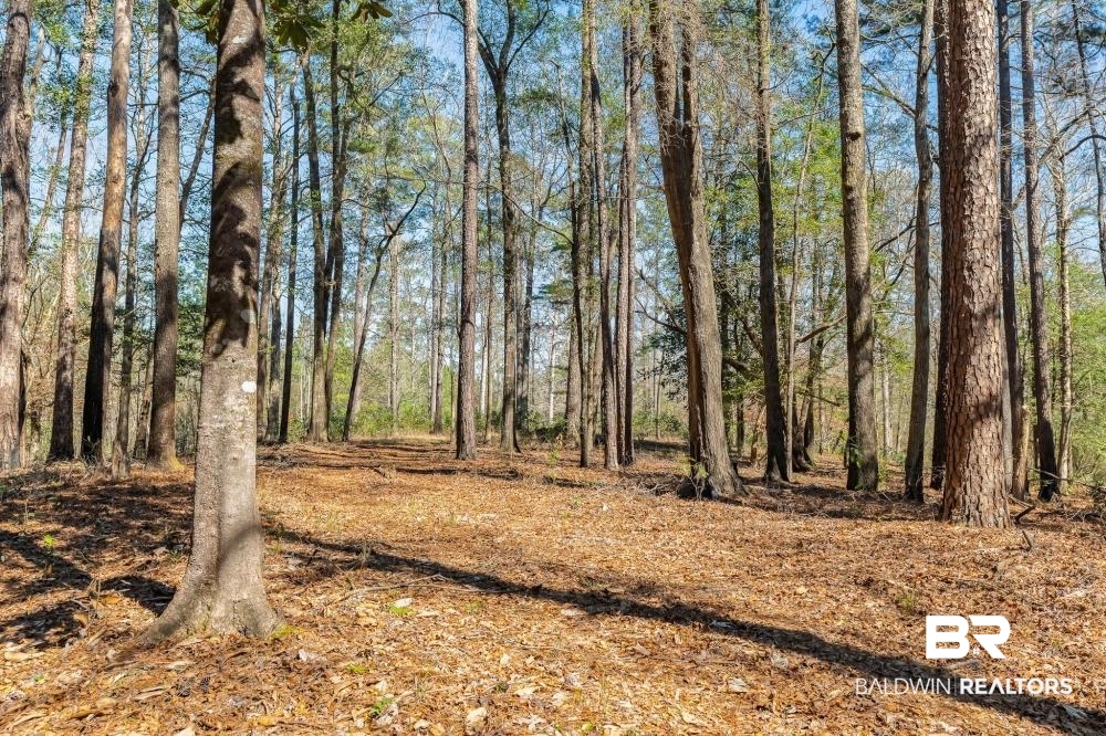0 Private Road Millry, AL 36558 - Photo 21 of 50