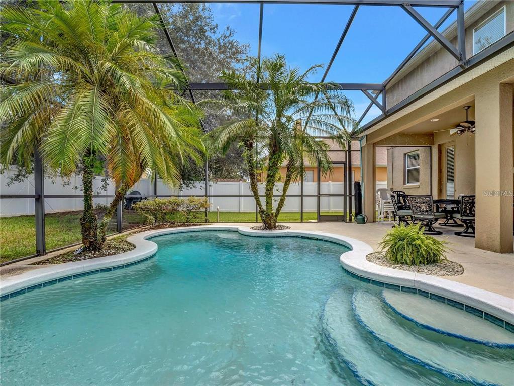 10023 Ians Ridge Road Orlando, FL 32832 - Photo 3 of 60 a view of a backyard with plants and swimming pool