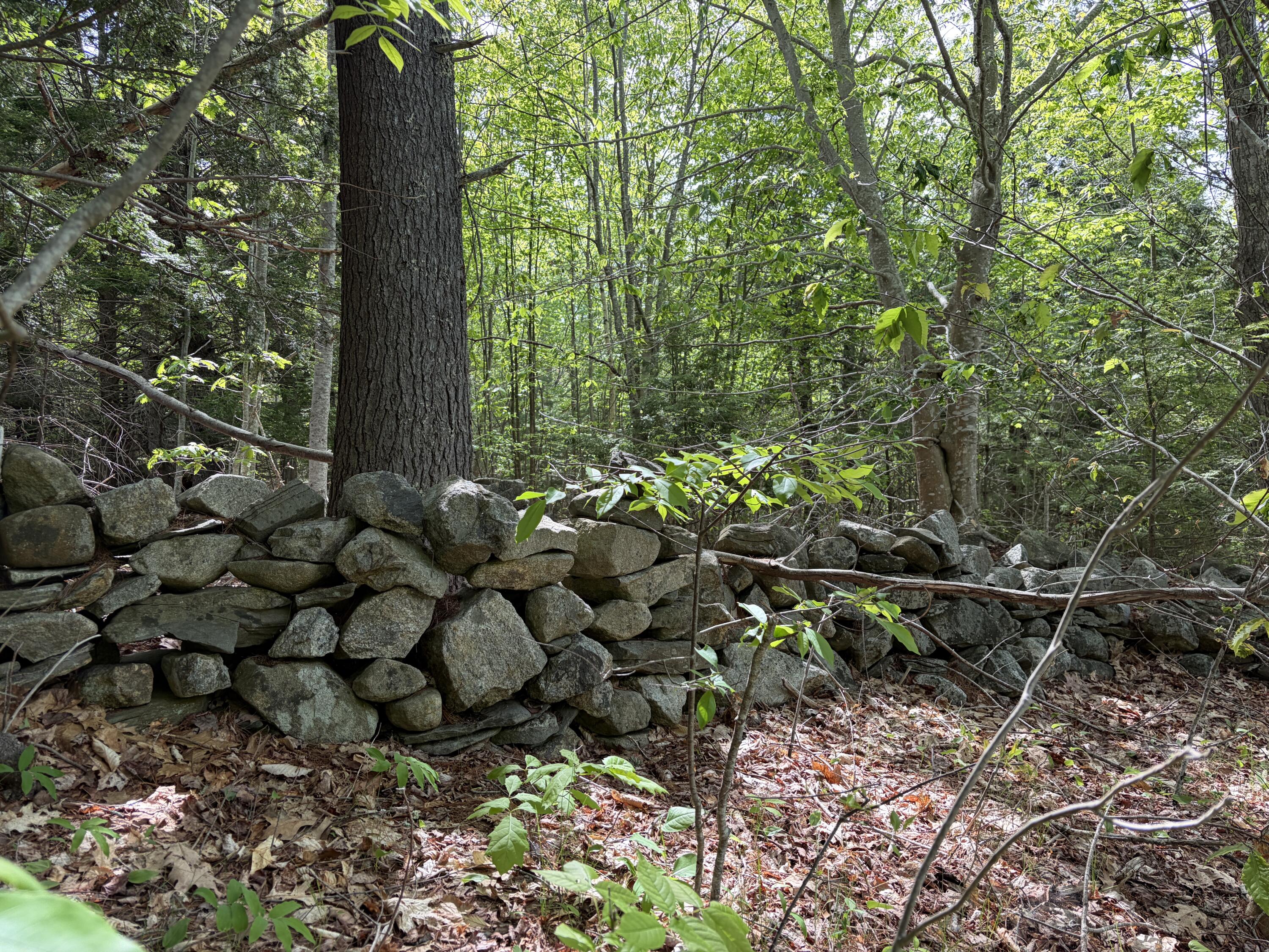 Lot 1 Waldoboro Road Washington, ME 04574 - Photo 19 of 39