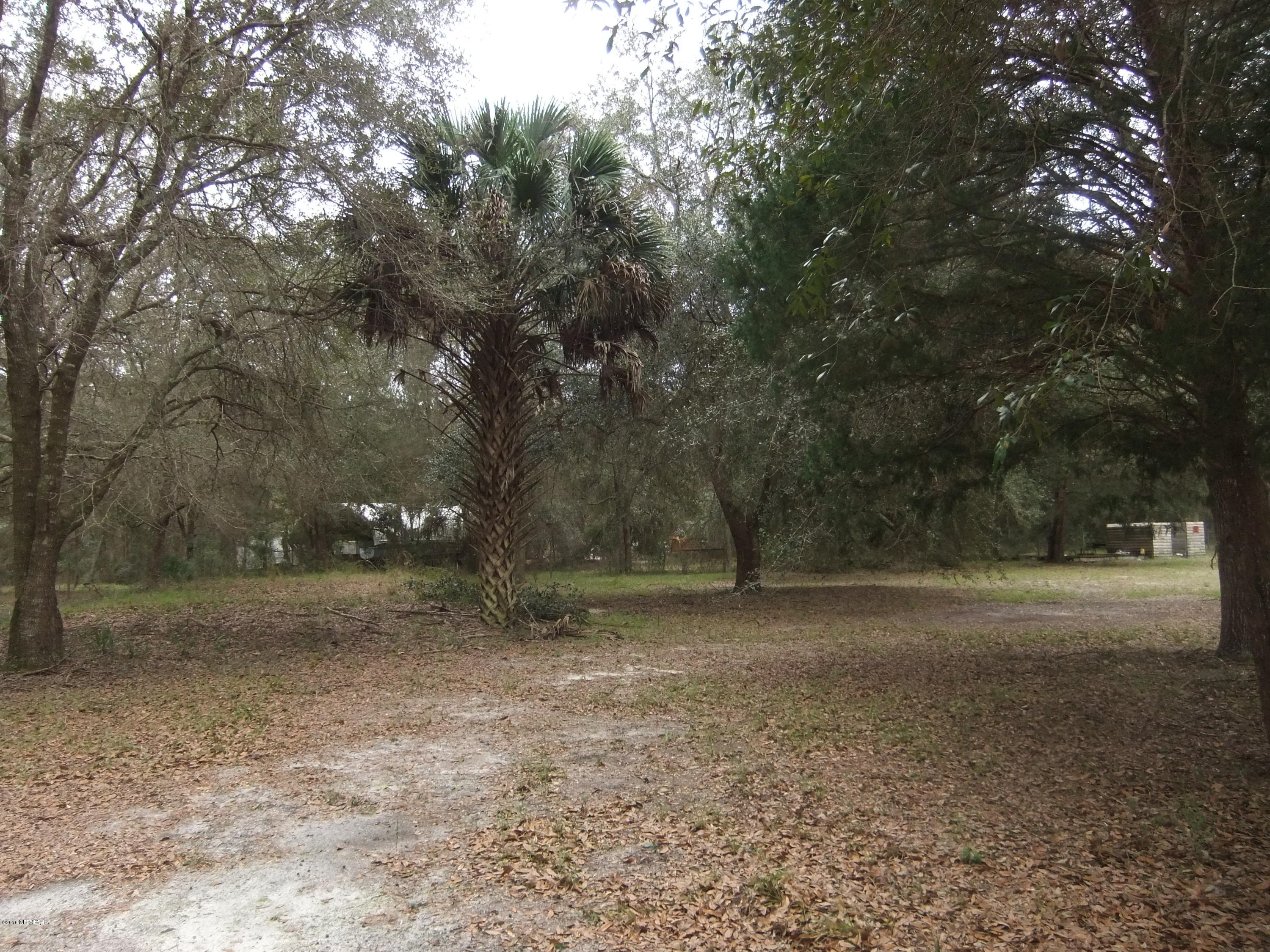 1700 Lake Road Jacksonville, FL 32226 - Photo 34 of 46 a view of dirt yard with large trees