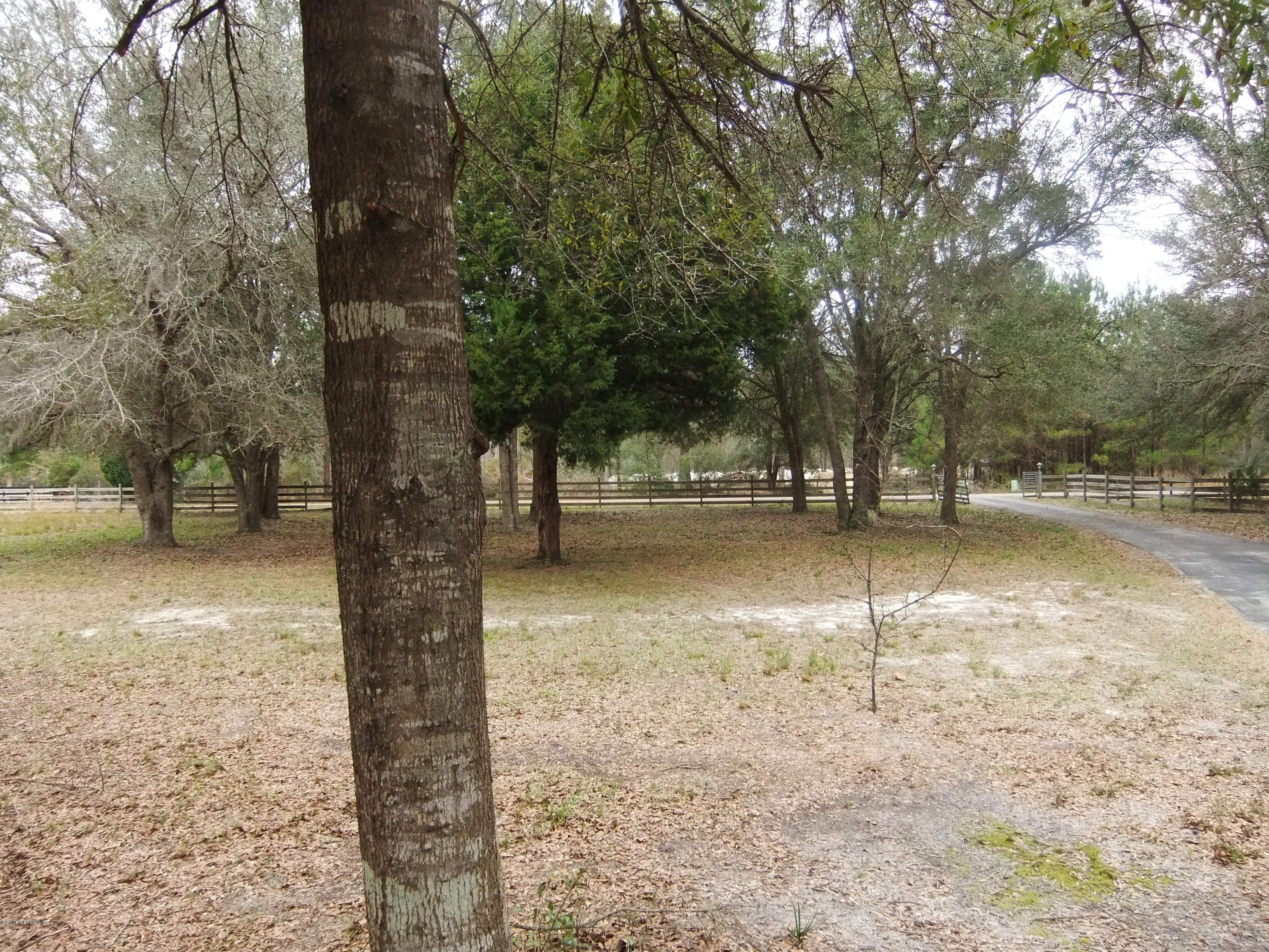 1700 Lake Road Jacksonville, FL 32226 - Photo 42 of 46 a view of outdoor space with trees