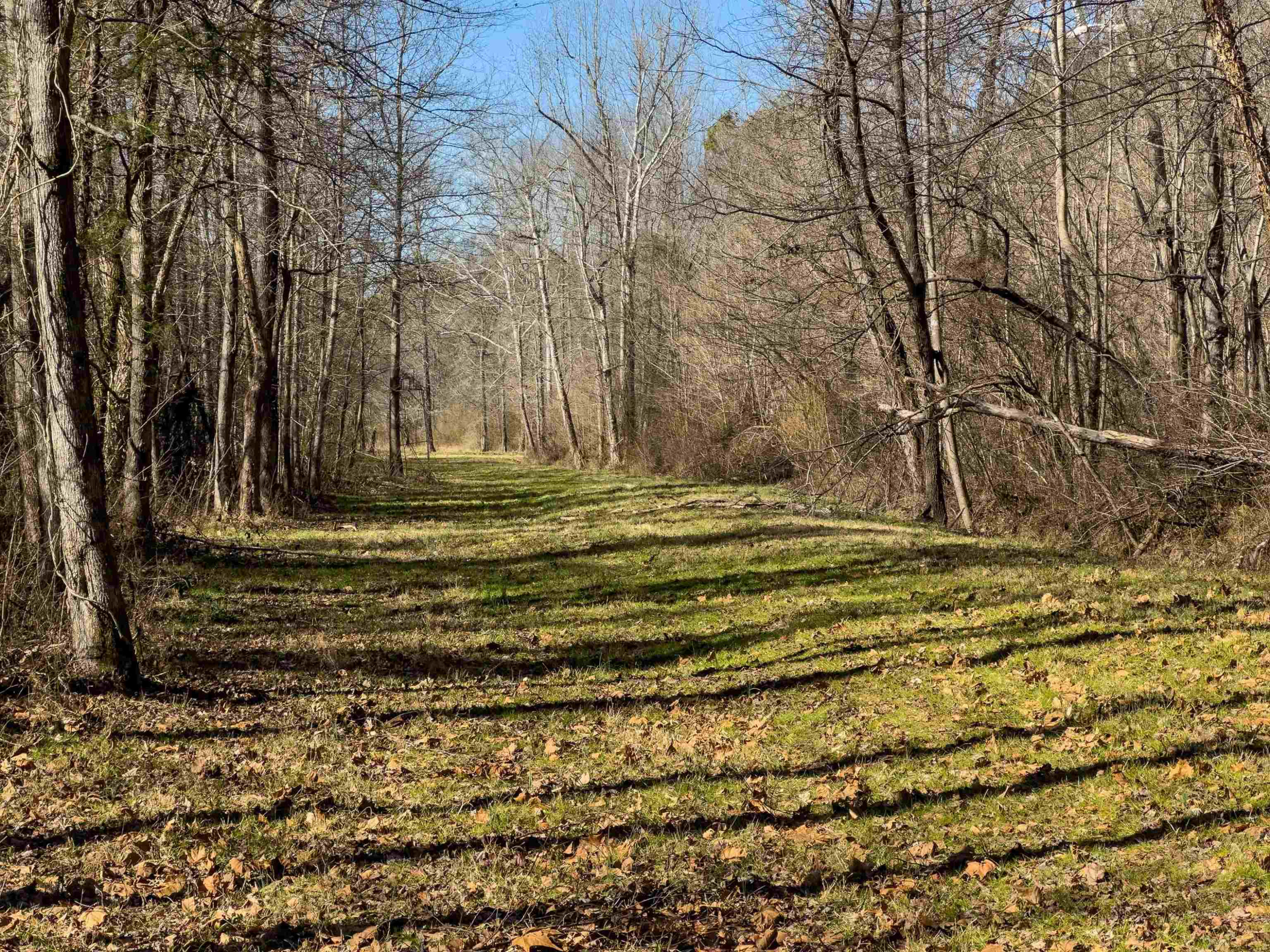 930 Lawson Farm Road Roxboro, NC 27574 - Photo 19 of 52 Photo 19