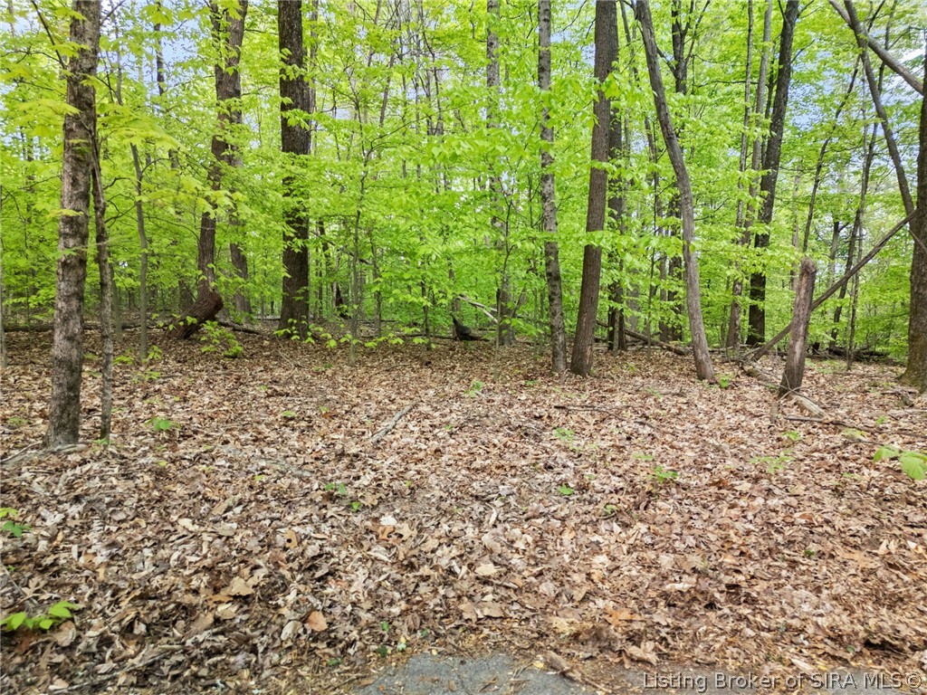Walnut Valley Road Corydon, IN 47112 - Photo 29 of 54