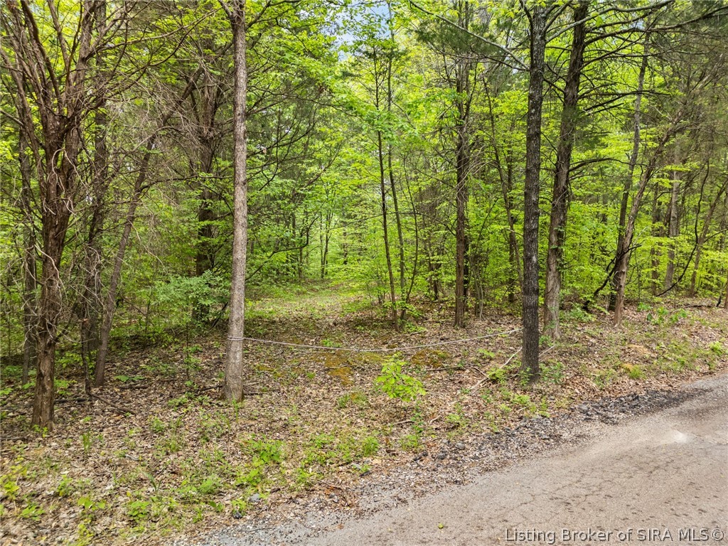 Walnut Valley Road Corydon, IN 47112 - Photo 47 of 54