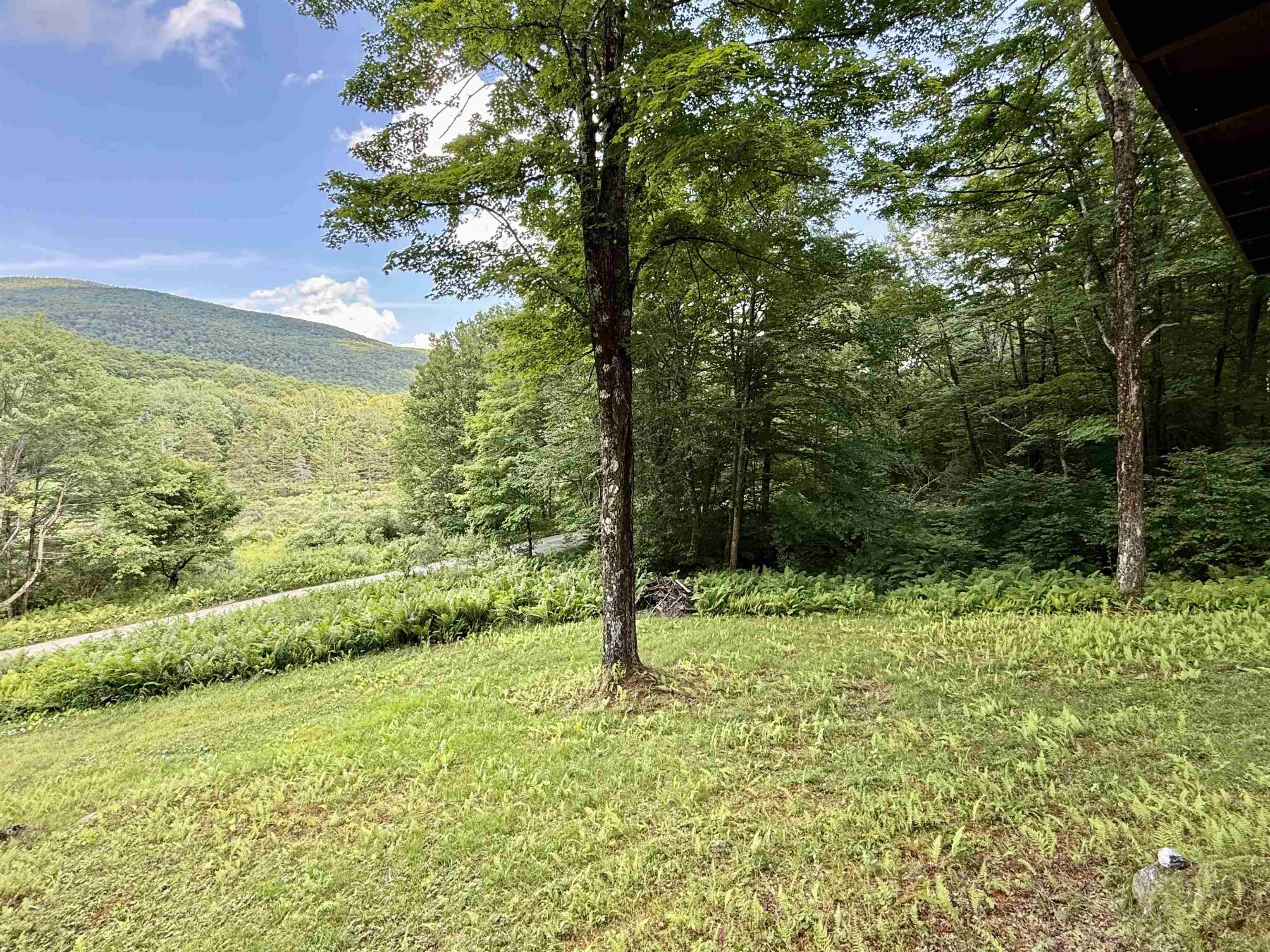 2075 Codding Hollow Road Johnson, VT 05656 - Photo 13 of 59