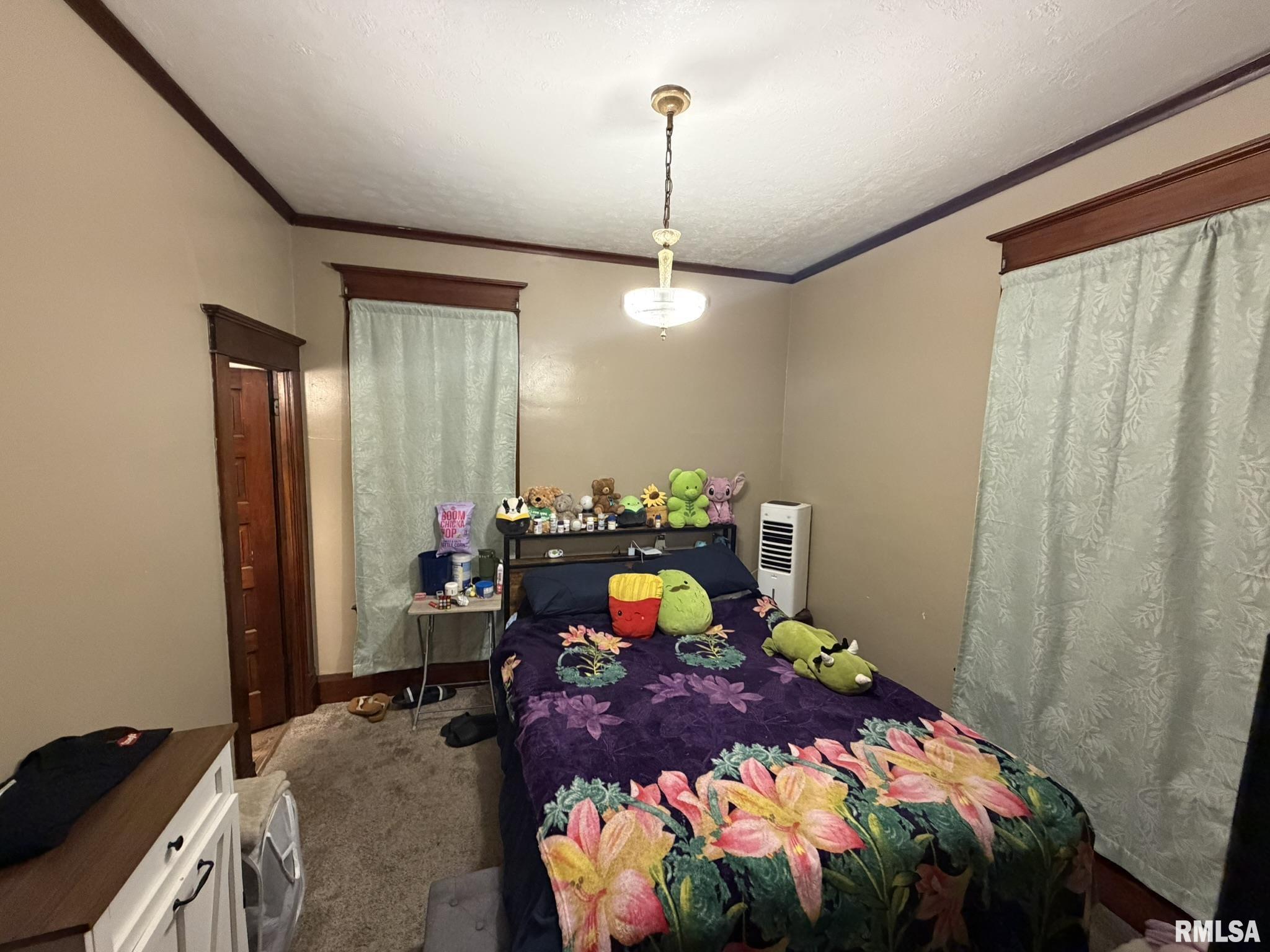 453 East Locust Street Canton, IL 61520 - Photo 6 of 8