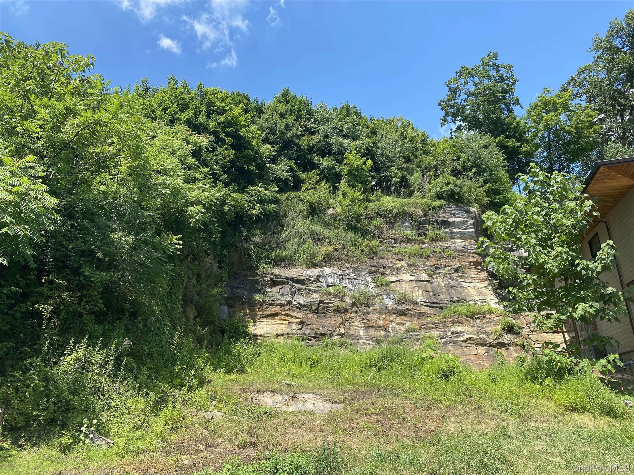 1 Avondale Road Yonkers, NY 10710 - Photo 9 of 9 a view of a big yard with large trees