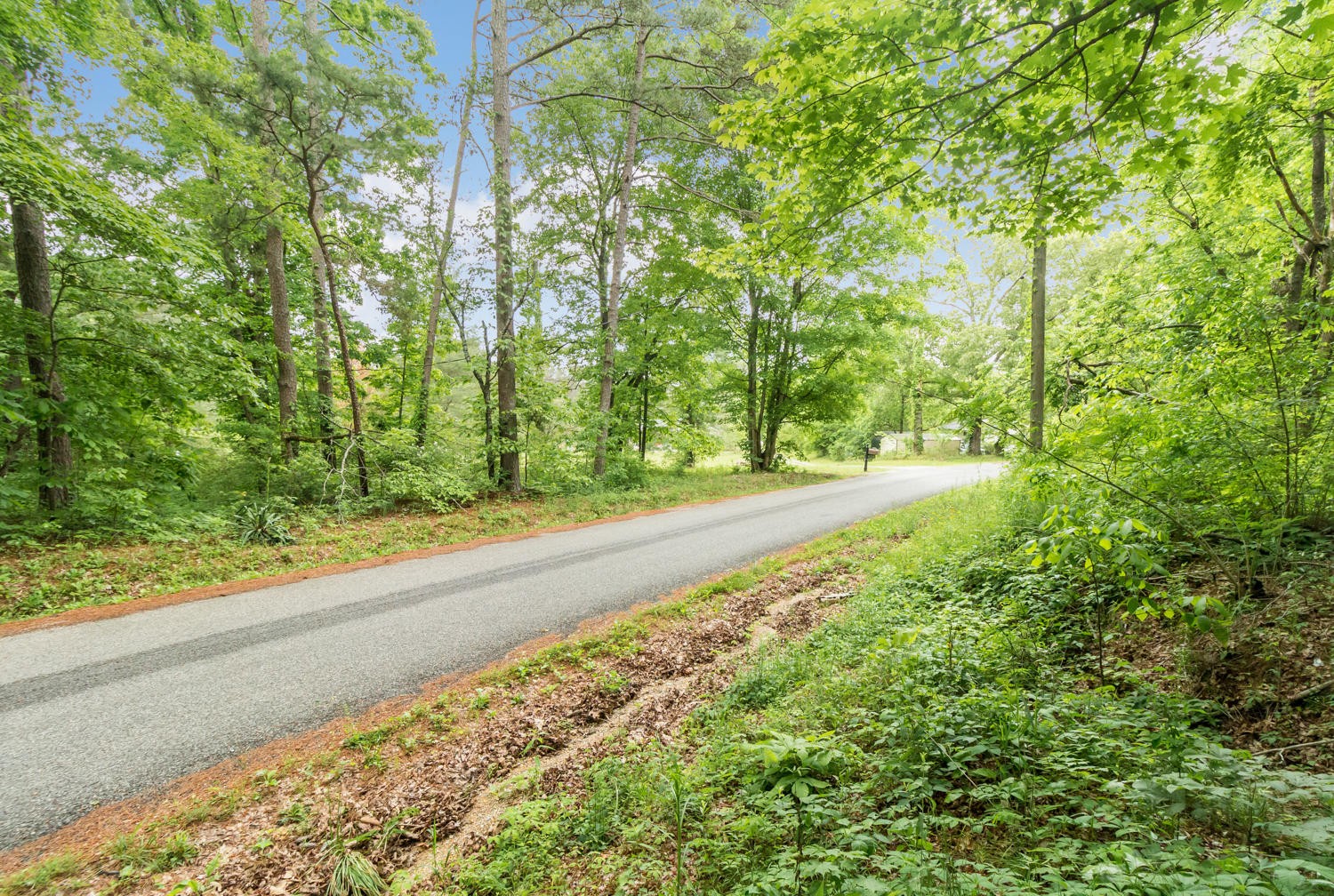 0 Howardsville Road Apison, TN 37302 - Photo 3 of 8 Gallery Image 3