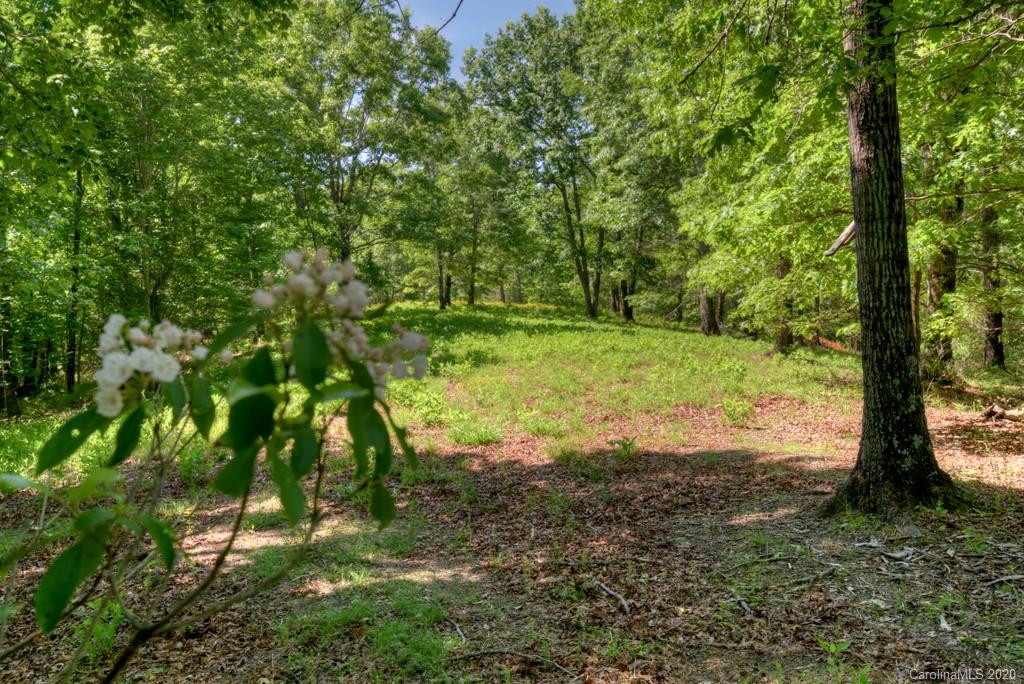 0 North Highland Road, Unit 6 Mill Spring, NC 28756 - Photo 1 of 29