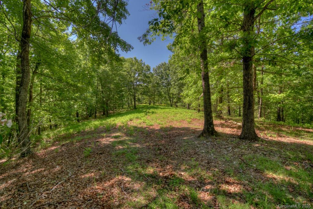 0 North Highland Road, Unit 6 Mill Spring, NC 28756 - Photo 2 of 29