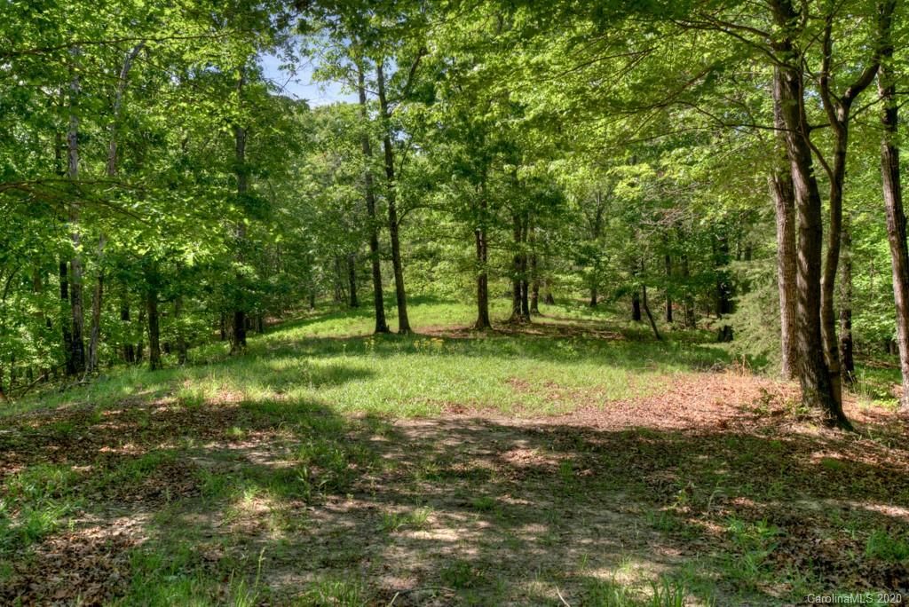 0 North Highland Road, Unit 6 Mill Spring, NC 28756 - Photo 11 of 29