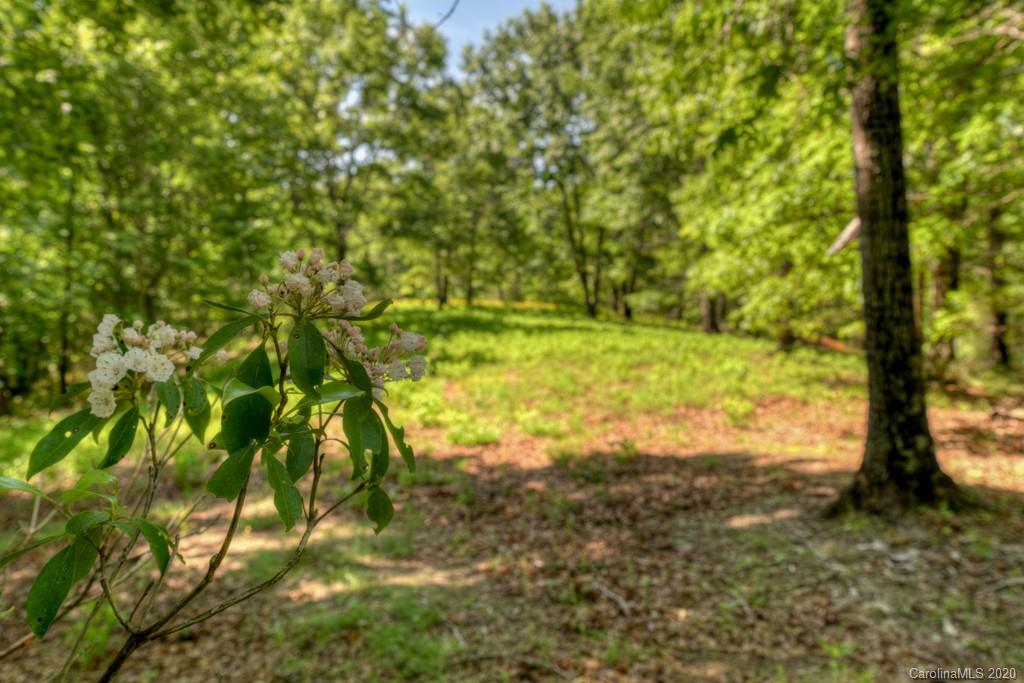 0 North Highland Road, Unit 6 Mill Spring, NC 28756 - Photo 18 of 29