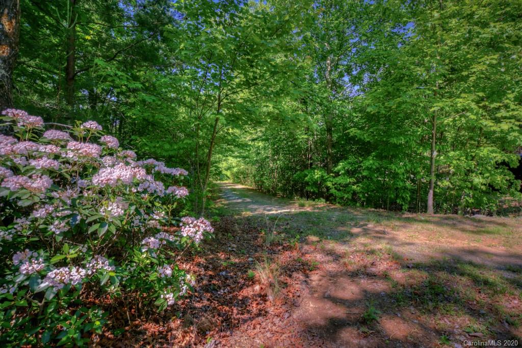 0 North Highland Road, Unit 6 Mill Spring, NC 28756 - Photo 3 of 29