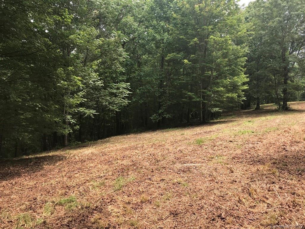 0 North Highland Road, Unit 6 Mill Spring, NC 28756 - Photo 25 of 29