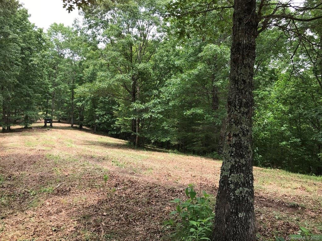 0 North Highland Road, Unit 6 Mill Spring, NC 28756 - Photo 29 of 29