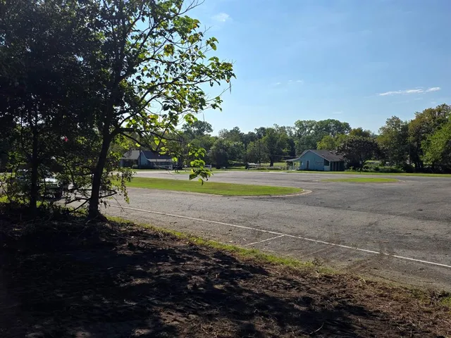 a view of a yard with a trees