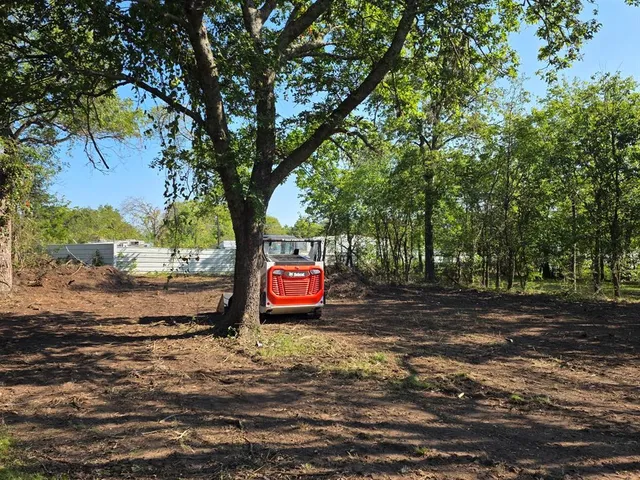 a view of a yard with a tree