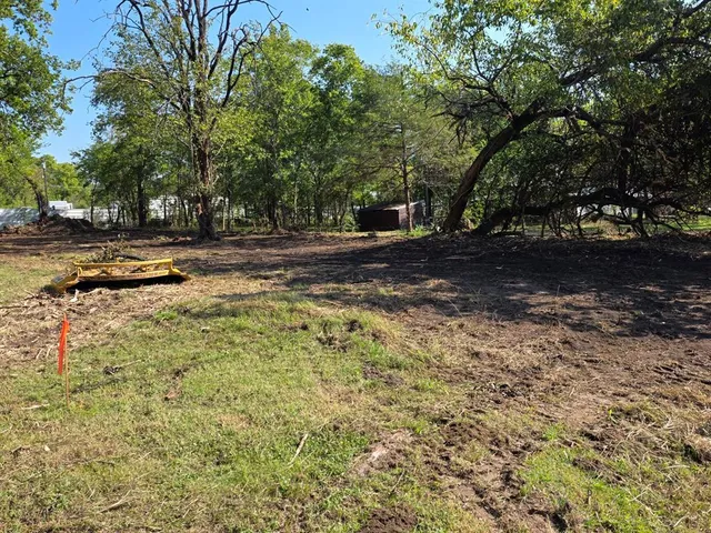 a view of a yard with plants and trees