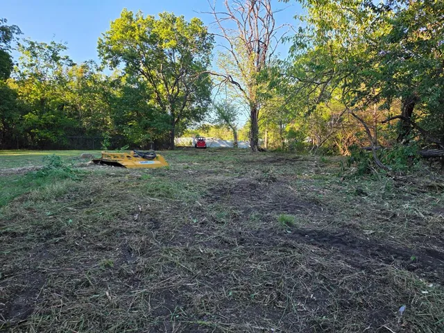 a view of backyard with green space