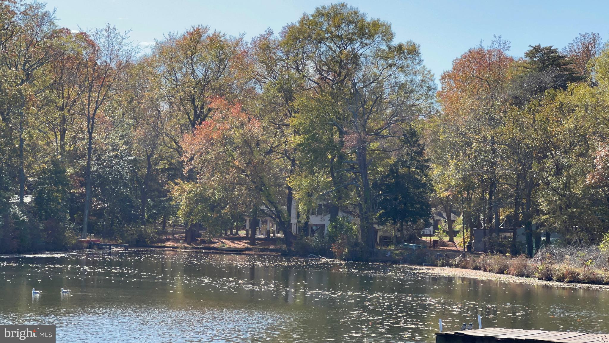 232 Chrystal Road Colonial Beach, VA 22443 - Photo 5 of 45 Entrance into Chrystal Lake from the backyard