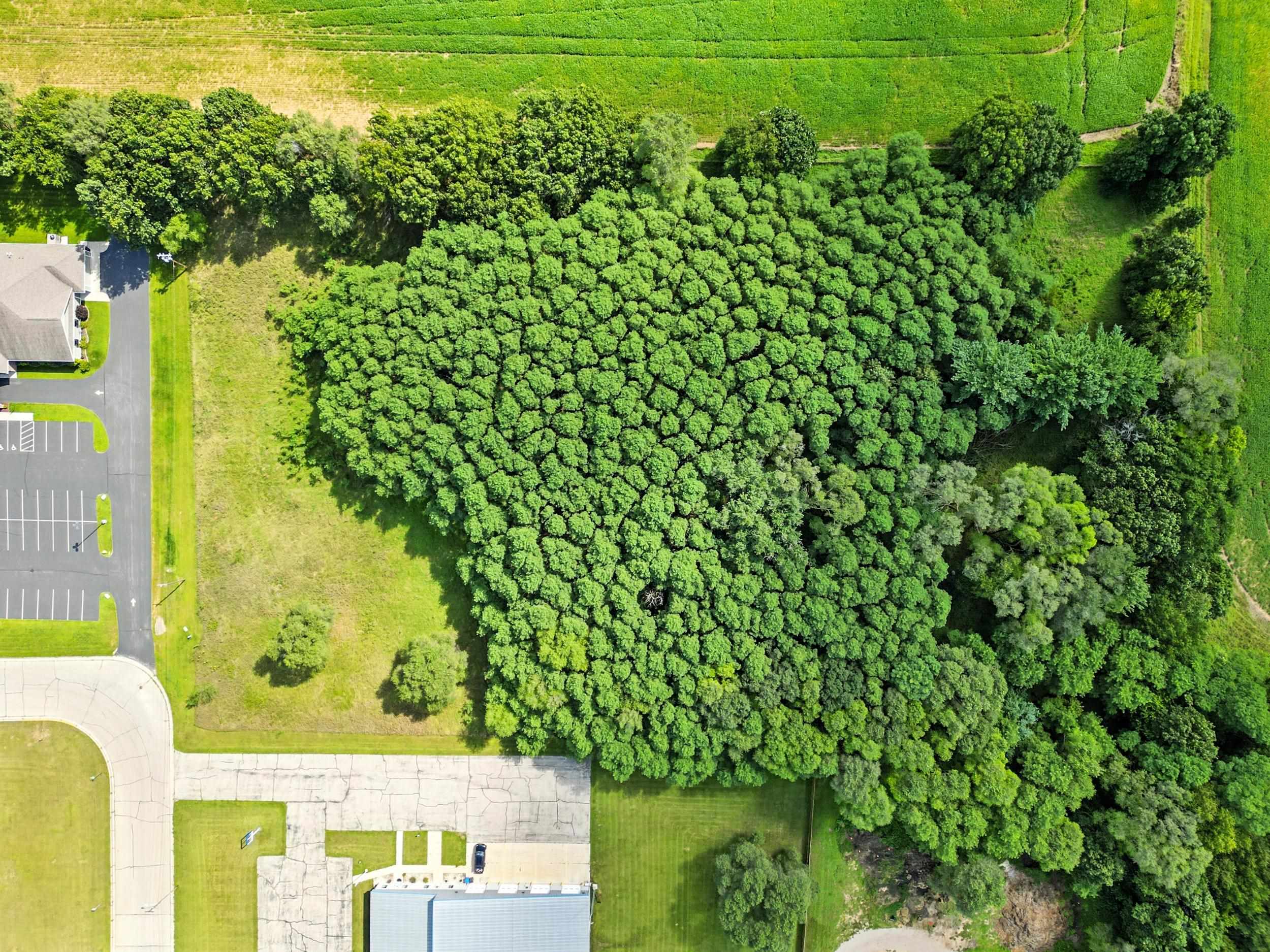 Lot 3 Gillette Pardeeville, WI 53954 - Photo 13 of 20