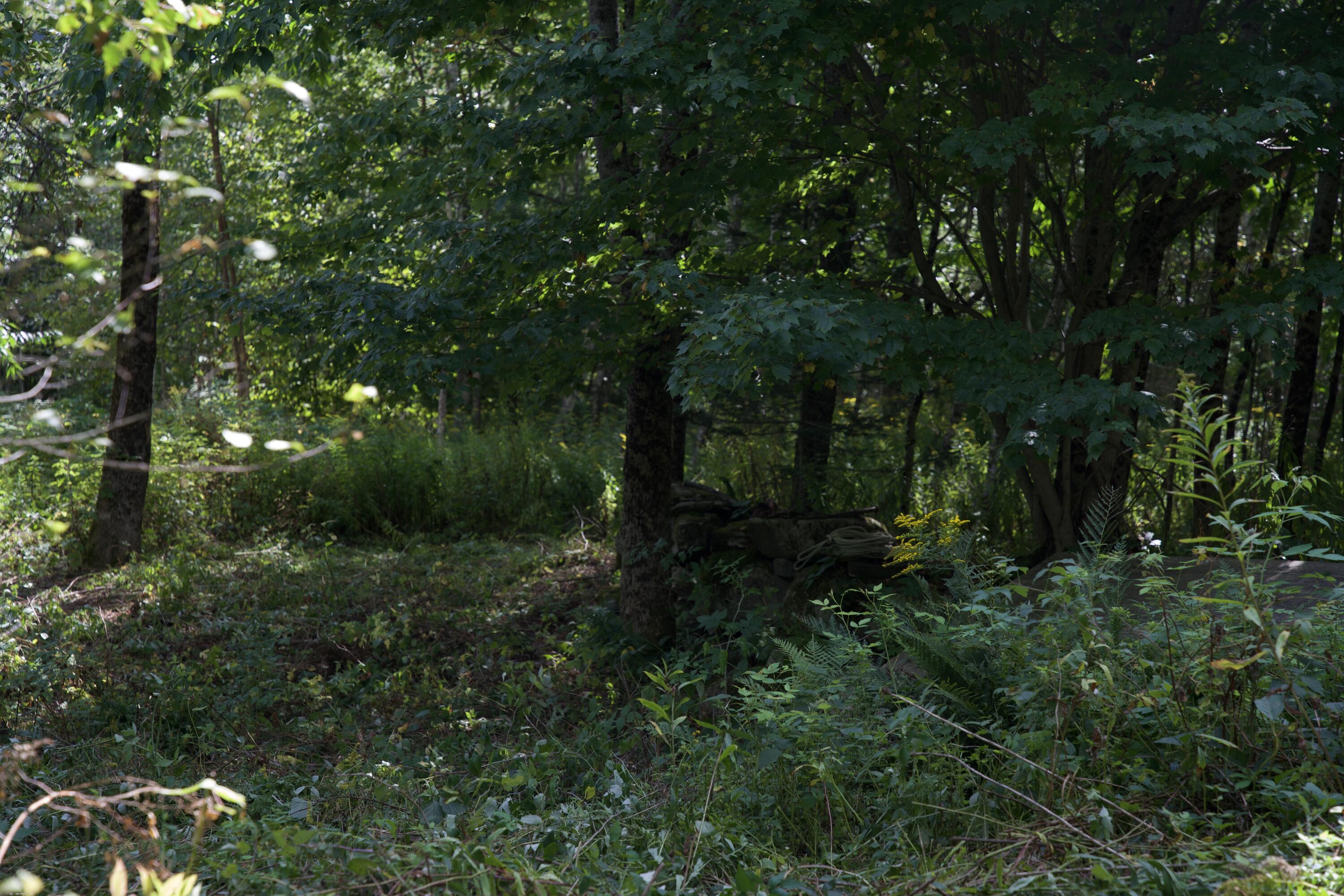 238 Smithton Road Freedom, ME 04941 - Photo 13 of 17 DSC09648