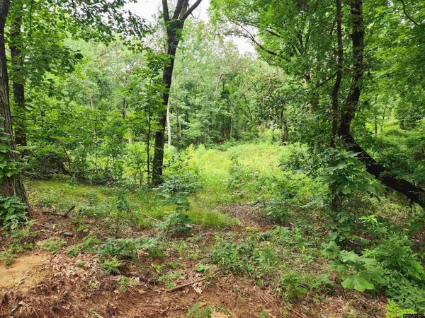 $65,000 | Lot 6 Cr 4125 Lindale Tx 75771, Lindale, TX 75771