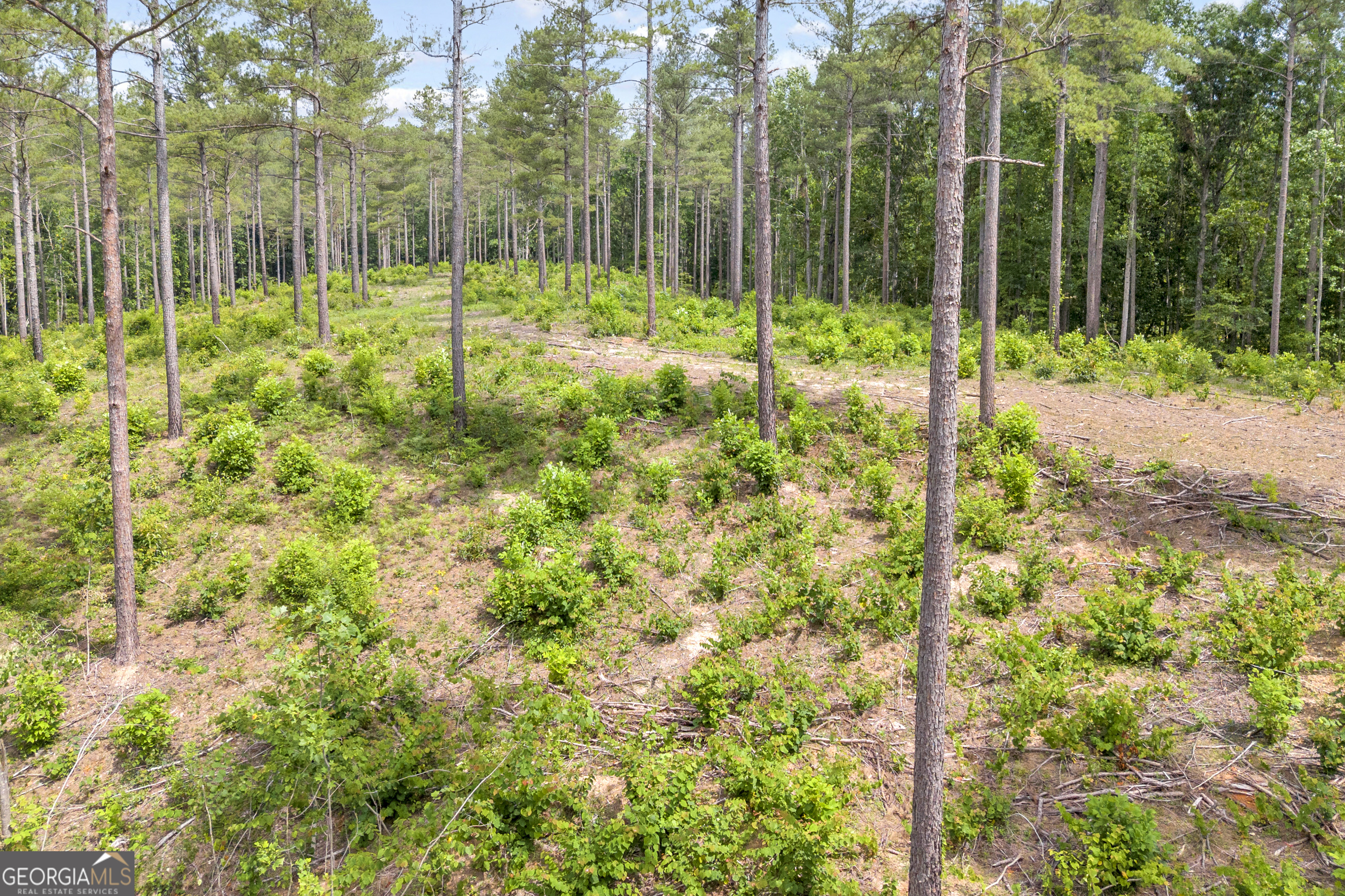 0 Mt Sinai Road, Unit LOT 1 Lula, GA 30554 - Photo 34 of 67