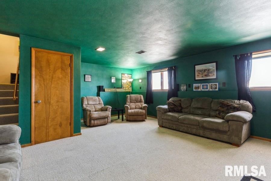 511 2nd Street Colona, IL 61241 - Photo 18 of 20 Gallery Image 18