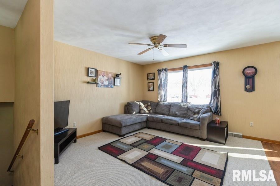 511 2nd Street Colona, IL 61241 - Photo 4 of 20 Gallery Image 4