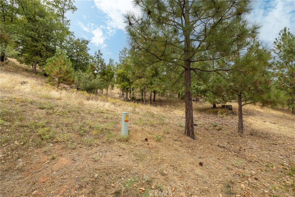 26 Timberview Road North Fork, CA 93643 - Photo 15 of 35 a view of empty space and trees