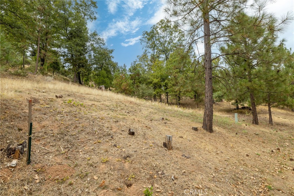 26 Timberview Road North Fork, CA 93643 - Photo 16 of 35 a view of a yard with trees
