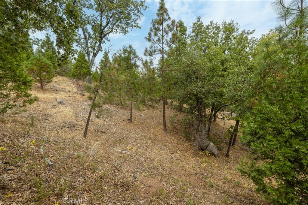 26 Timberview Road North Fork, CA 93643 - Photo 17 of 35 a view of a forest with trees in the background
