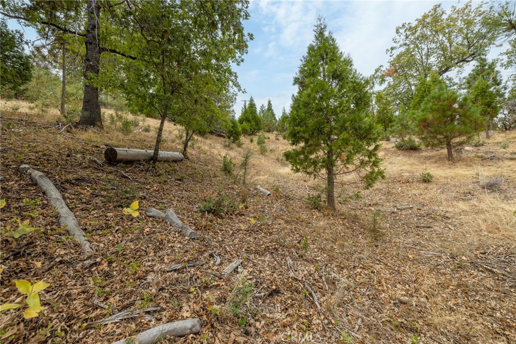 26 Timberview Road North Fork, CA 93643 - Photo 18 of 35 a view of a yard with plants and trees